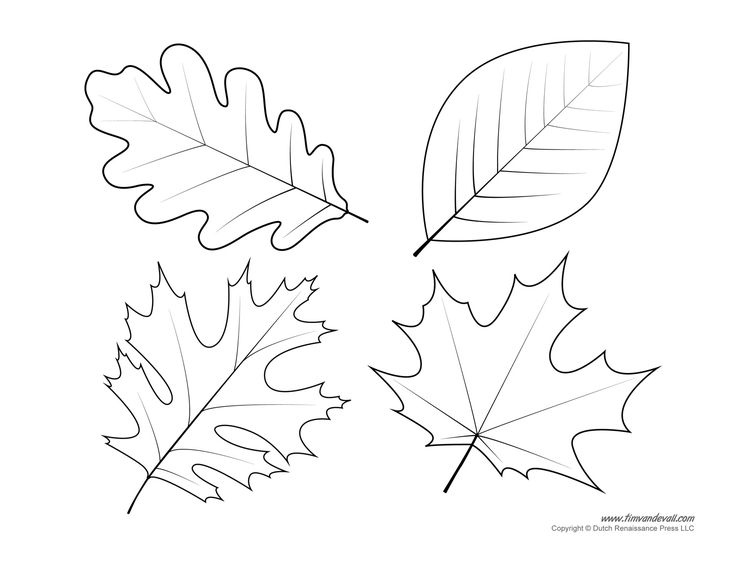 Leaf Templates Leaf Coloring Pages For Kids Leaf Printables Tim s 