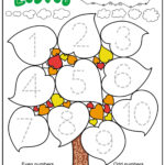 Leaf Worksheets For Kindergarten Worksheet For Kindergarten Fall