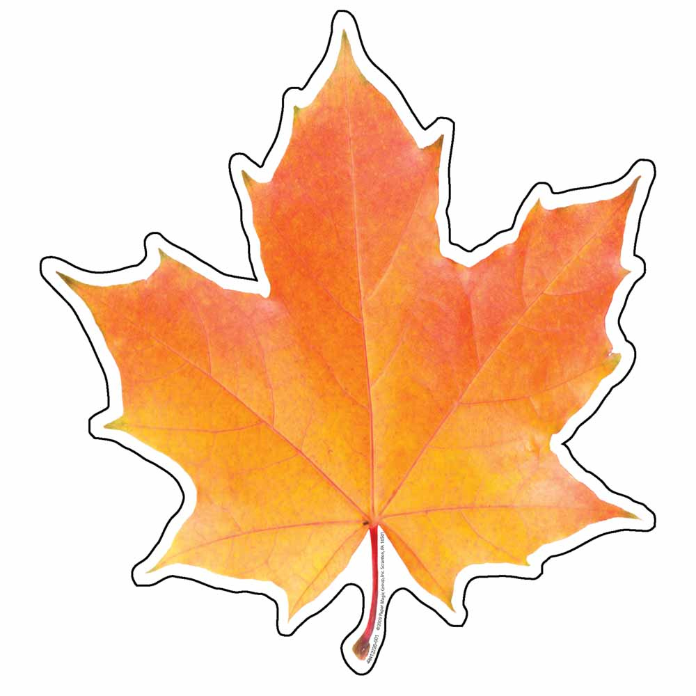Leaves Cut Outs ClipArt Best