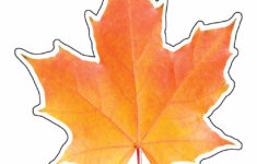 Leaves Cut Outs ClipArt Best