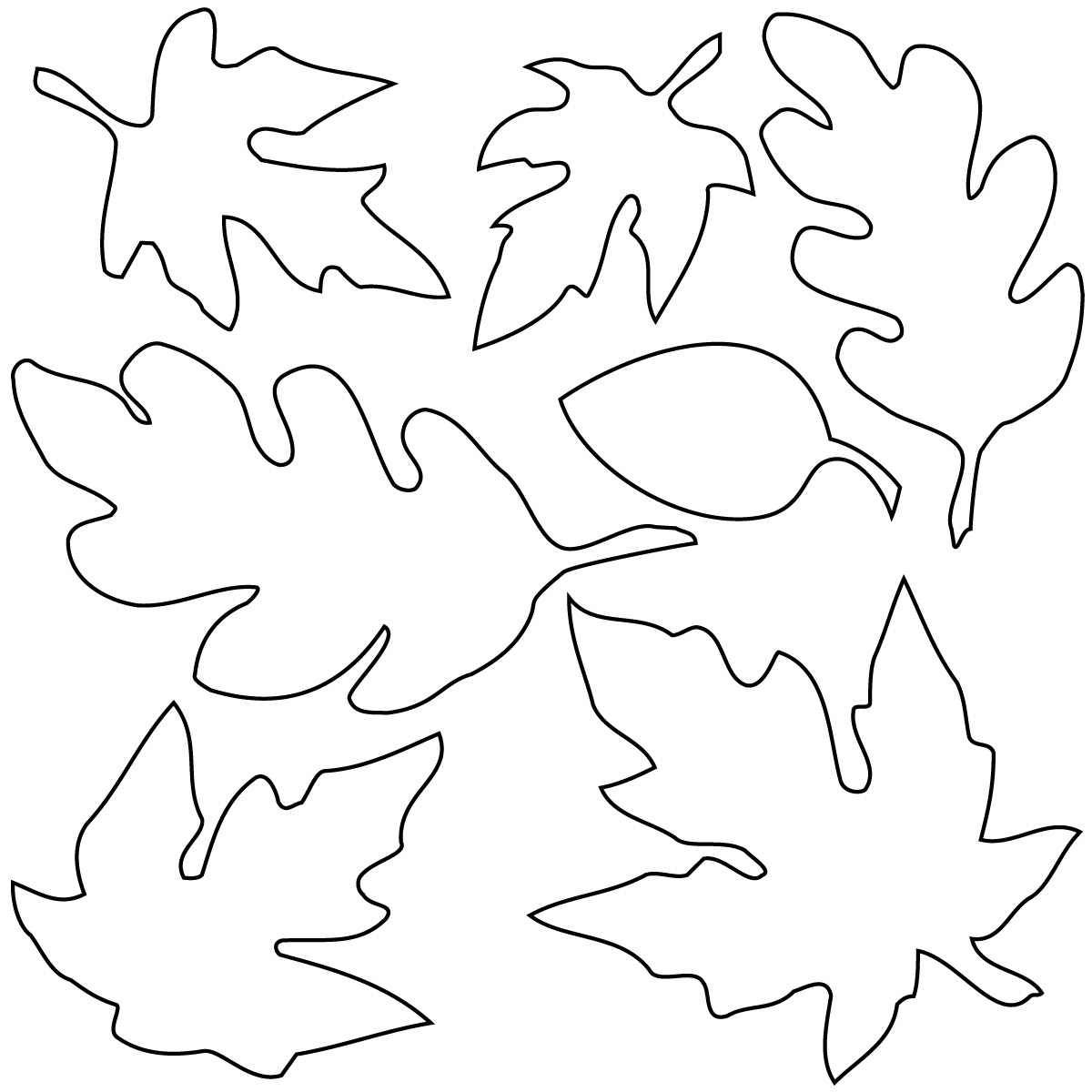 Leaves Outline ClipArt Best