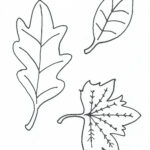 Leaves Printable Coloring Pages