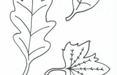 Leaves Printable Coloring Pages