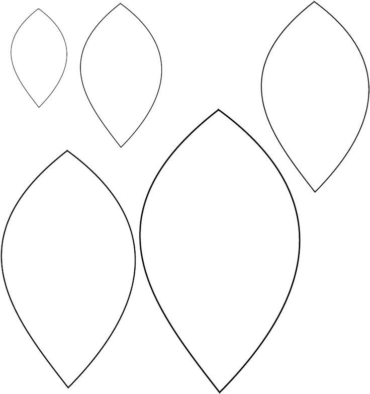 Leaves wings Template 736 783 Leaf Template Printable Leaf 