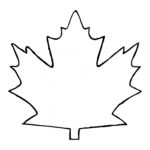 Maple Leaf Template ClipArt Best