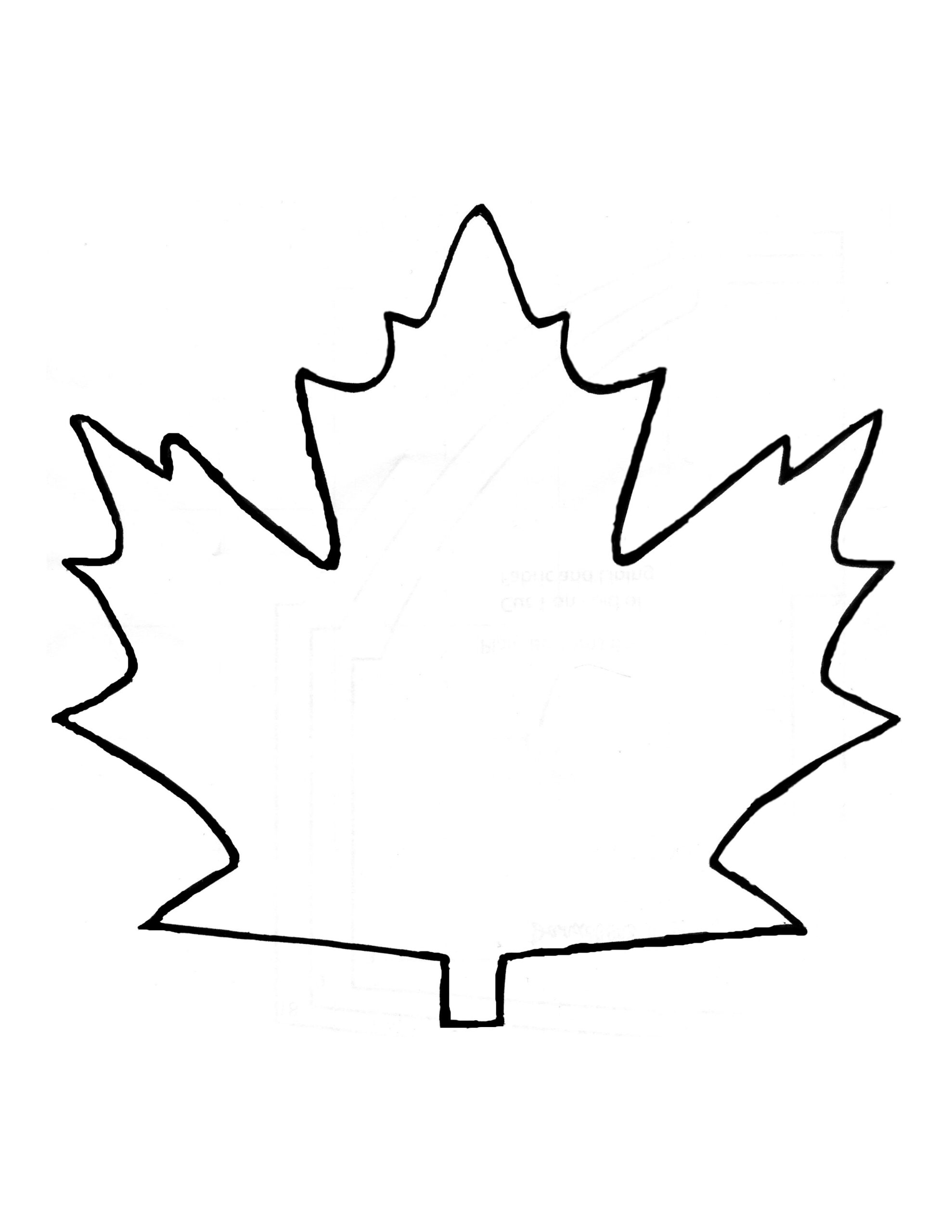 Maple Leaf Template ClipArt Best