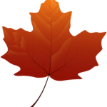 Maple Leaf Yellow Clip Art Autumn Leaves Png Download 7090 8000