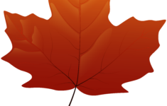 Maple Leaf Yellow Clip Art Autumn Leaves Png Download 7090 8000