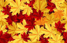 Maple Leafs Seamless Pattern Royalty Free Vector Image