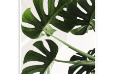 Monstera Leaf Art Print Botanical Wall Art Print Plant Wallpaper