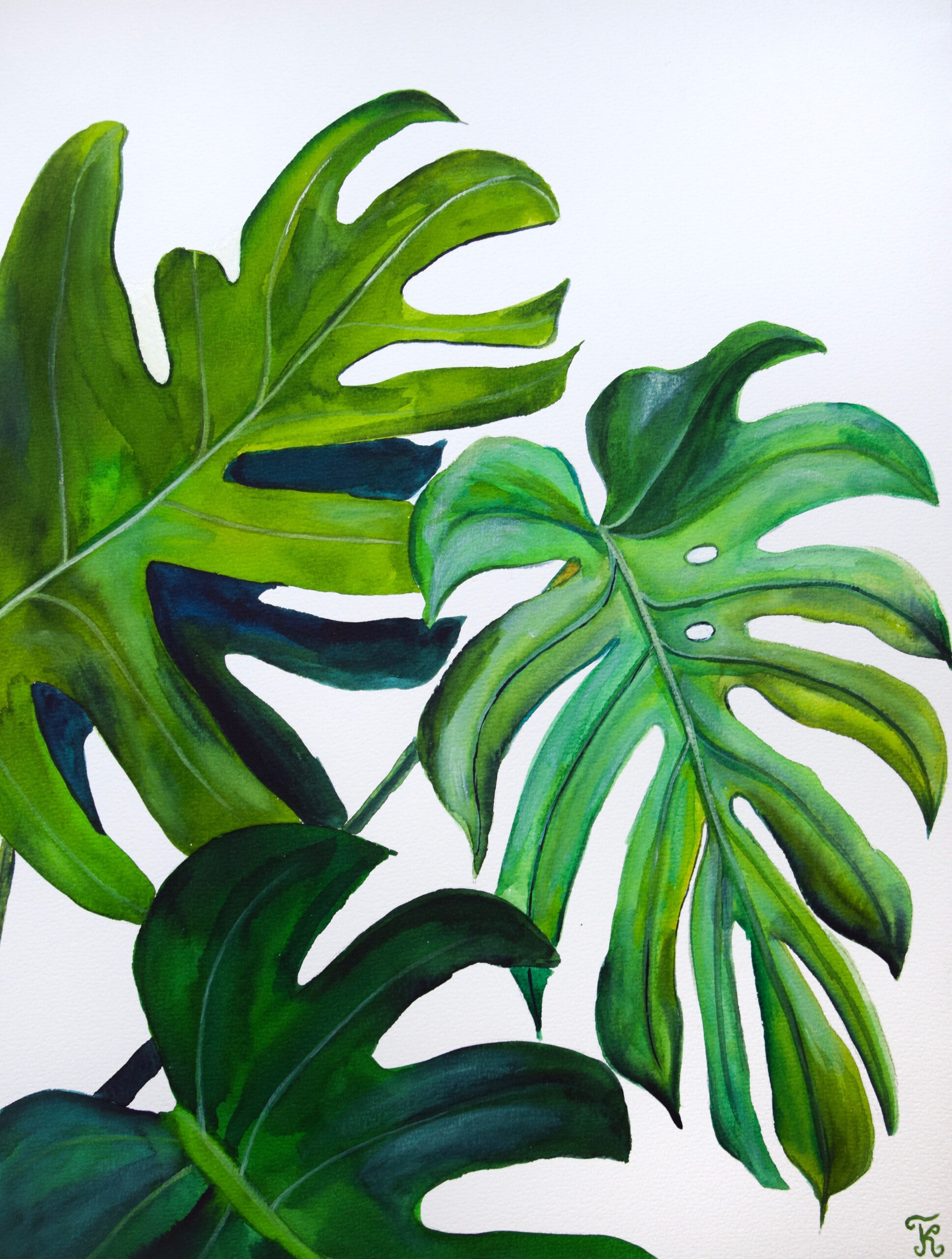 Monstera Leaves Original Watercolor Paintings Botanical Etsy