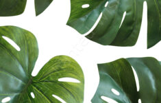 Monstera2a Art Prints Nursery Wall Art Quote Prints Enchanted