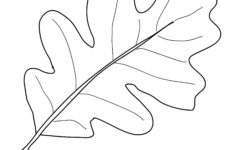 Oak Leaf Drawing Template At GetDrawings Free Download