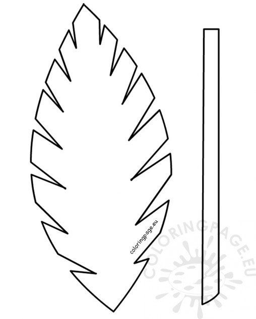 Palm Branch Printable Coloring Page