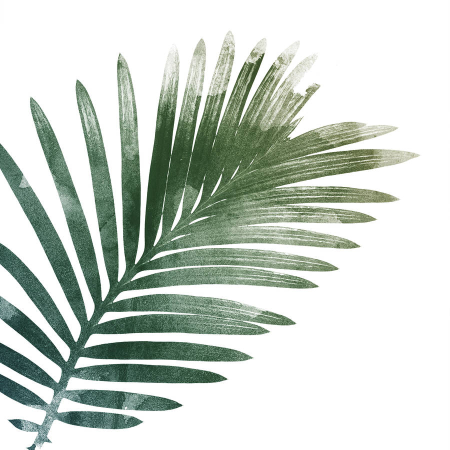 Palm Leaf Art Print By Georgie St Clair Notonthehighstreet