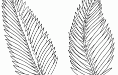 Palm Leaf Coloring Pages Coloring Home