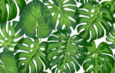 Pattern With Tropical Leaves Royalty Free Vector Image