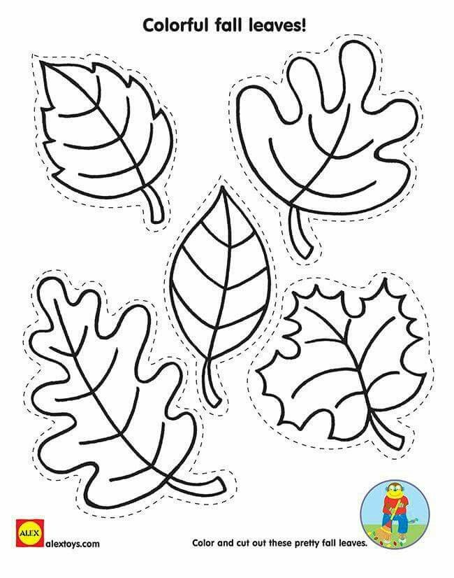 Pin By Anik v N ni On Jesie Fall Leaf Template Fall Crafts Fall 