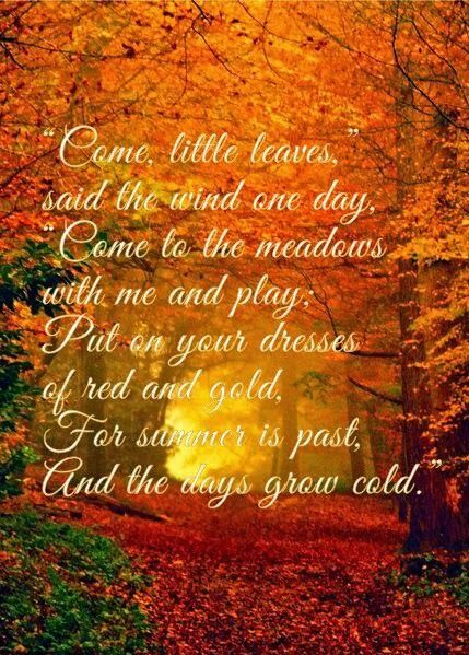 Pin By Kathy On Fall Is In The Air Autumn Quotes Fall Pictures 