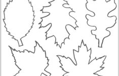 Pin By Lucie Davis On Skolka Worksheets Leaf Template Leaf Template