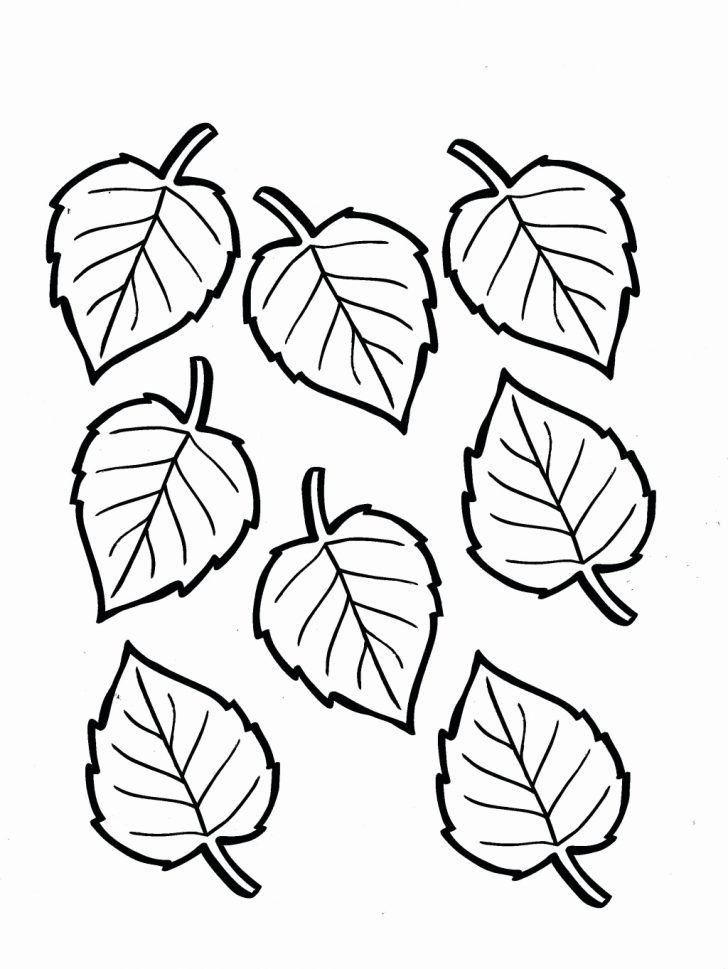 FREE Printable Leaves Coloring Pages