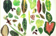 Pin En Projectboard GBL