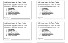 Pin On Cub Scout Boy Scout Ideas