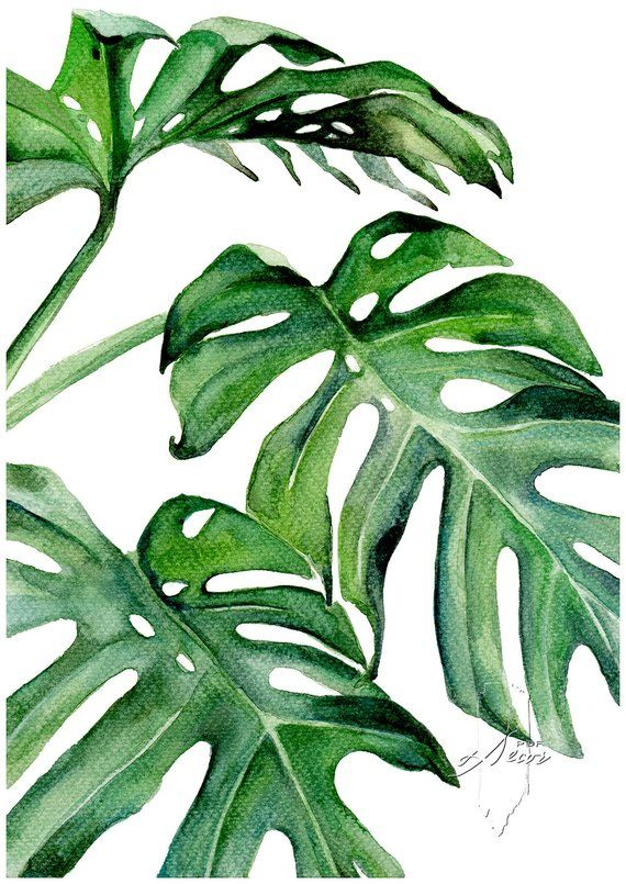Tropical Leaf Painting Printable