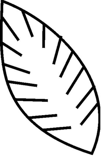 Palm Leaf Pattern For Kids