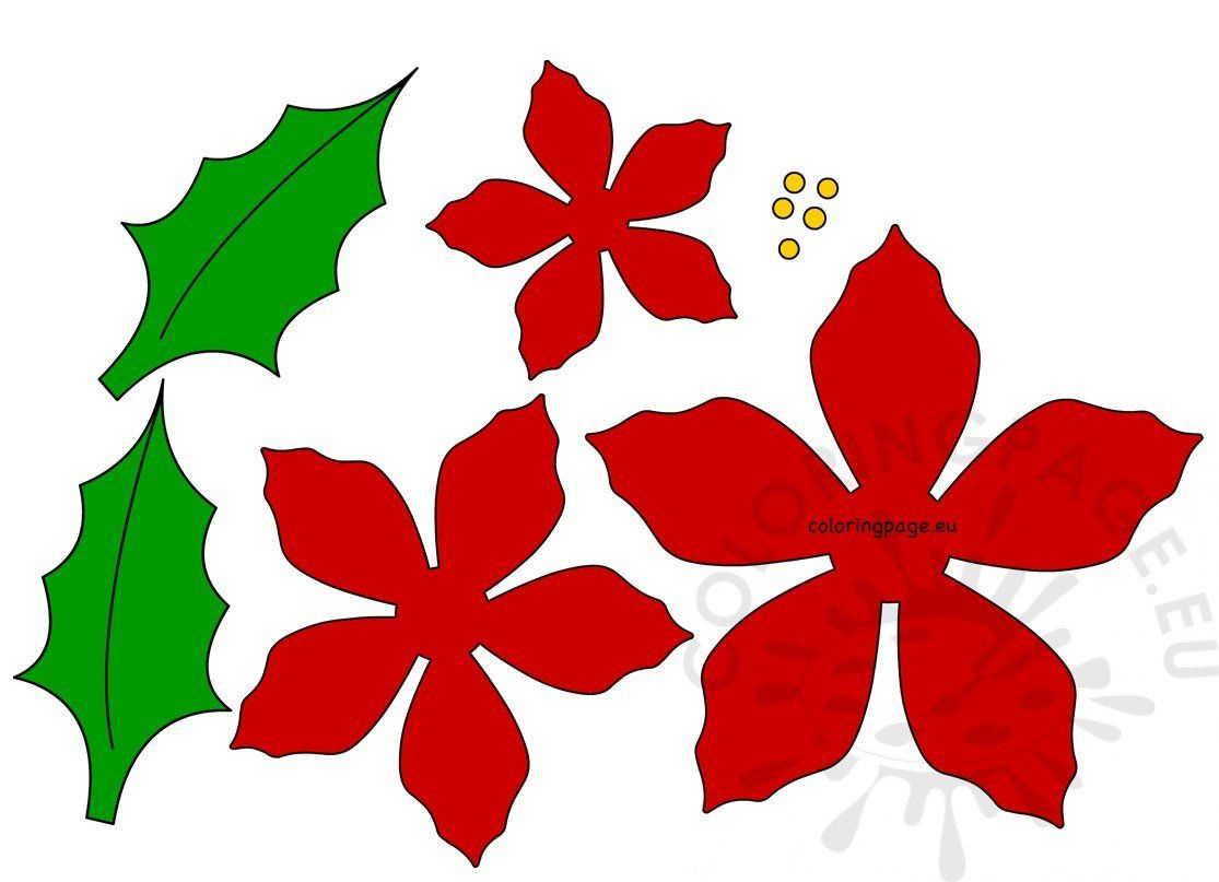 Poinsettia Red Christmas Flower Printable Coloring Page Red 