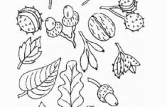 Printable Coloring Pages Trees And Leaves Coloring Printables