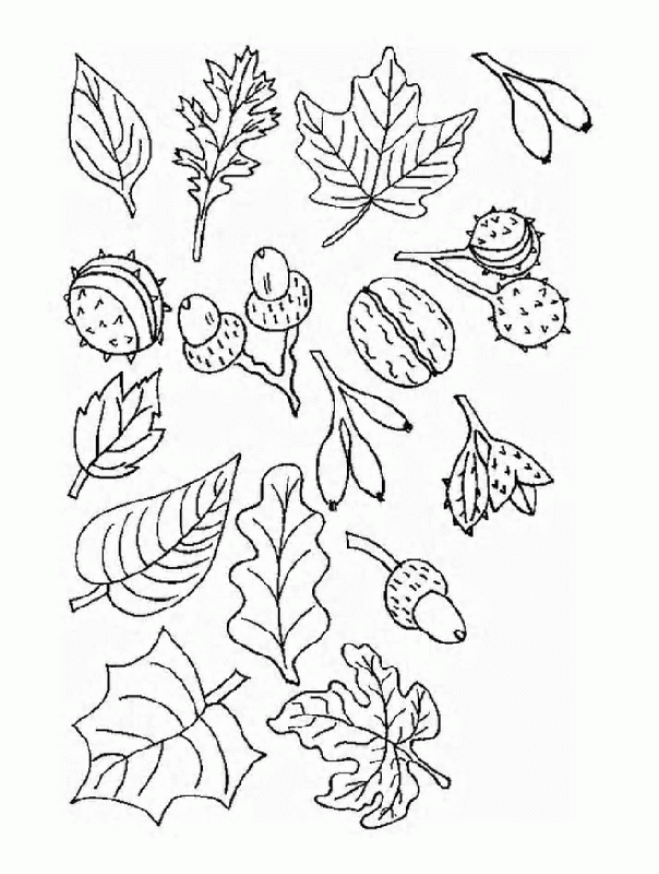 Printable Coloring Pages Trees And Leaves Coloring Printables