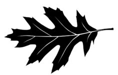 Printable Leaf Stencil Outline And Silhouette