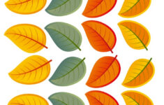 Printable leaves color Free Kids Crafts