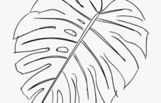 Printable Monstera Leaf Outline Printable Word Searches