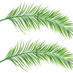 Printable Palm Leaf Printable Word Searches