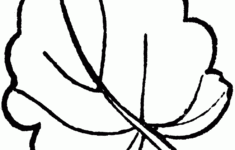 Pumpkin Leaf Template ClipArt Best