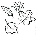 Pumpkin Leaves Drawing At PaintingValley Explore Collection Of