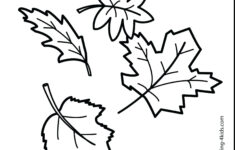 Pumpkin Leaves Drawing At PaintingValley Explore Collection Of