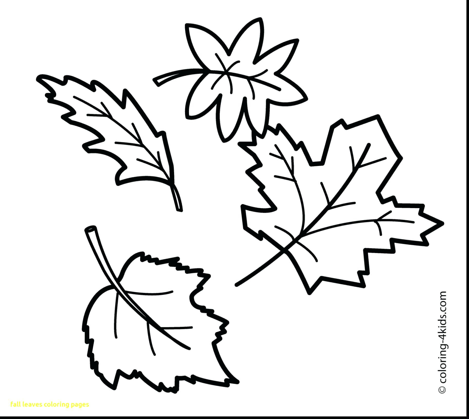 Pumpkin Leaves Drawing At PaintingValley Explore Collection Of 