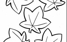 Pumpkin Leaves Drawing Free Download On ClipArtMag