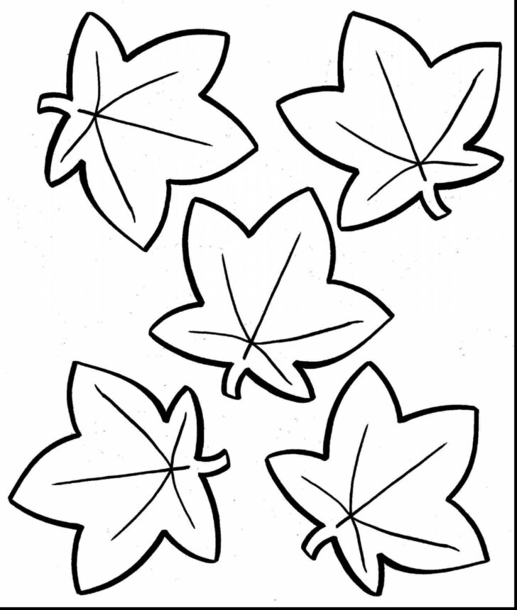 Printable Leaves Coloring Pages Few Leaves
