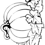 Pumpkin With Leaves Coloring Fall Coloring Pages Pumpkin Coloring