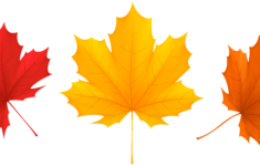 Red Digital Images Clip Art Graphics Printable Leaf Clipart Fall Leaves