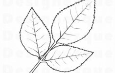 Rose Leaf Template Printable Printable Word Searches