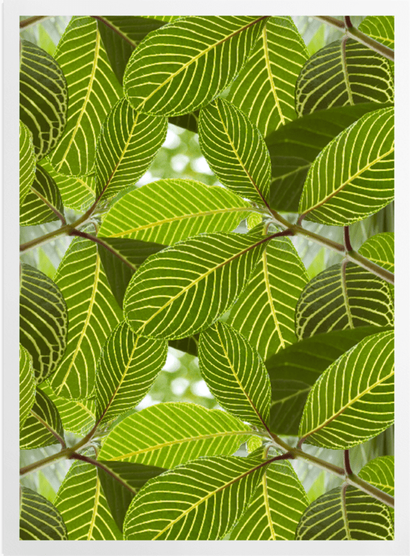  Safari Leaf Art Prints SurfaceView