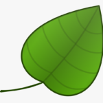 Simple Green Leaf Template HD Png Download Transparent Png Image