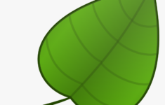 Simple Green Leaf Template HD Png Download Transparent Png Image