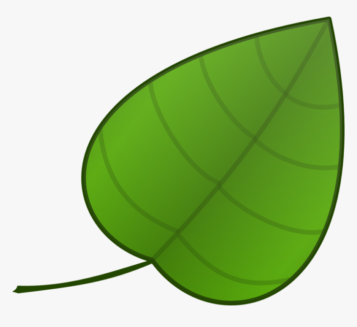 Green Leaf Printable