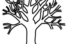 Starry starr Coloring Pages Tree Without Leaves